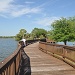 Boardwalk